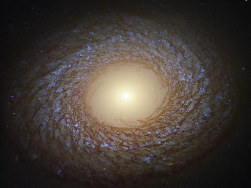 space-pics:  Hubble Spots Feathered Spiral