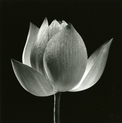 Yasuhiro Ishimoto
