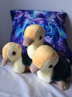 korrainasamisjacket:  These came in yesterday!  Cute little turtle ducks from yinza on Etsy.  Also shout out to iahfy for the awesome pillow! 