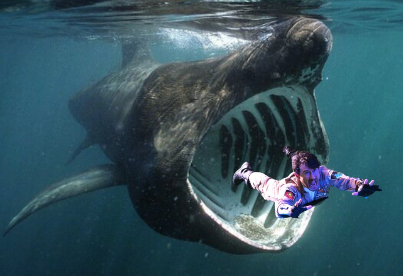 mintytrifecta:OH NO MARK IS BEING MISTAKEN FOR PLANKTON BY THE FILTER FEEDING BASKING SHARK MARK LOOK OU-(@fischyplier thanks for the template xoxo) 