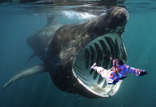 mintytrifecta:OH NO MARK IS BEING MISTAKEN FOR PLANKTON BY THE FILTER FEEDING BASKING SHARK MARK LOOK OU-(@fischyplier thanks for the template xoxo) 