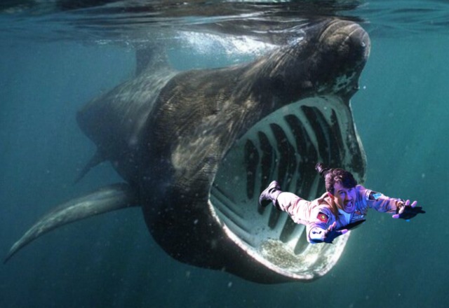 mintytrifecta:OH NO MARK IS BEING MISTAKEN FOR PLANKTON BY THE FILTER FEEDING BASKING