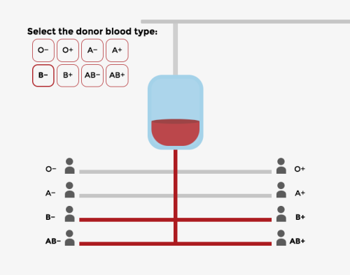 Which blood group can donate to another blood group (interactive graphics)by Romina Martin