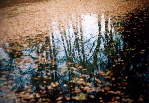 Terry Magson Analogue Photographer