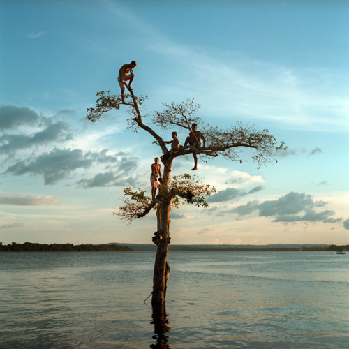 Where The River Runs Through: Life in the Amazon Dam Boom, Aaron Vincent Elkaim“The sound of thousan