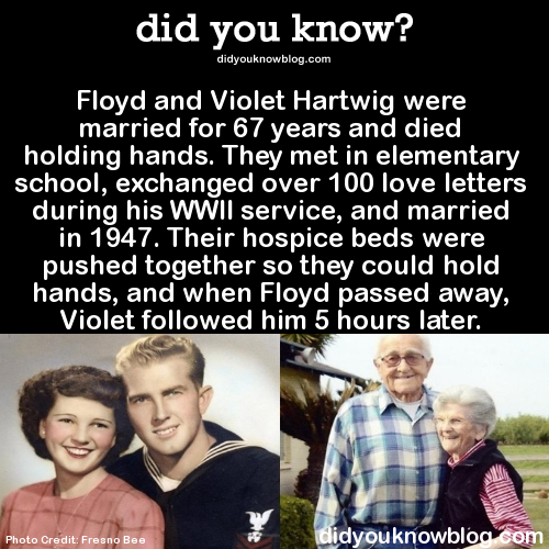 mistersailor:did-you-kno:  In May of 1947 Floyd wrote from Johnston Atoll in the Pacific: “Hi honey, just a few lines from this lonely blue sailor of yours. Miss you darling and so in love with you.  … Honey, I’ll sure be glad when I get out of