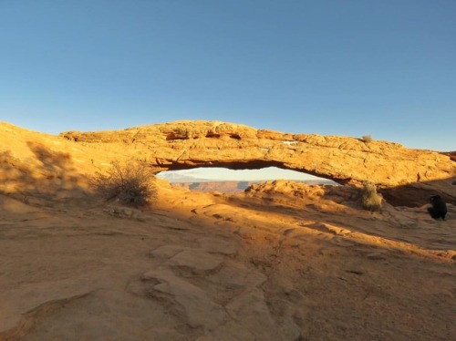 I had about 30 minutes alone in front of Mesa Arch. Stillness. Quiet. Sublimity. (at Mesa Arch, Cany