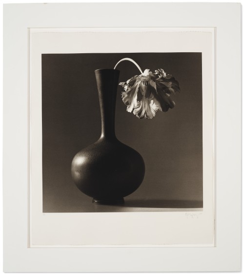 Robert Mapplethorpe, “Tulip,” 1985, Platinum-palladium print, Image: 19 ¼ x 19 ½ in. (48.8 x 49.5 cm