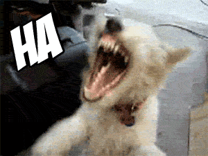 kids-n-teens-blog: Trying to be cute while laughing    Expectation:  Reality:  