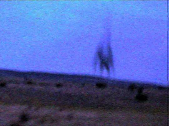 russianhackervevo: russianhackervevo:  Ambient on main  