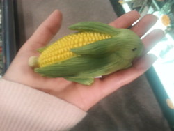 thatfunnyblog:  is this a bunny dressed up as corn or corn dressed up as a bunny