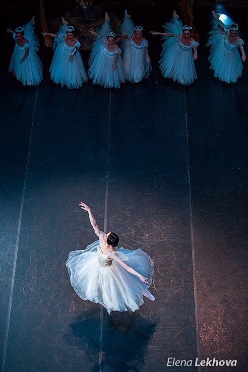 obsessivedancingdisorder: Olesya Novikova as Giselle © Elena Lekhova