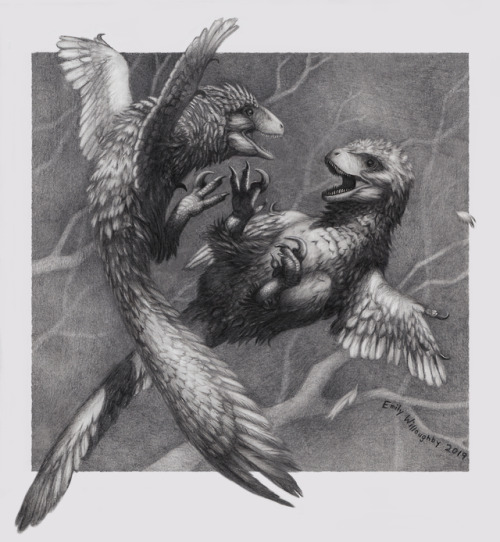 ewilloughby:Another mechanical pencil drawing finished up at a conference. Two Deinonychus have a po