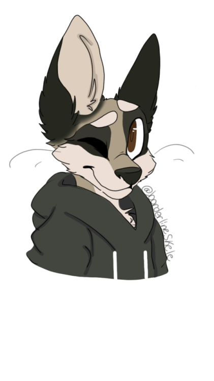 borderlineskele:Hi I made a shitty trash panda… And I’m too lazy for my usual lineartHis name is Ray