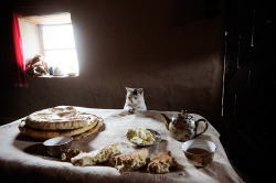 nomadic-alternative: Nomitkon, Tajikistan — I’d never seen a bread eating cat before.  But this cat loved bread. He would practically sit down at the table and wait to be served.  The owners would throw him a few pieces and then throw him out of