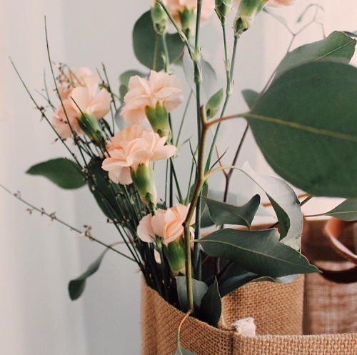 Spring’s GiftWords by Jacqueline Lindeberg // Photography by Juliette Bélanger.It’s half past eight 