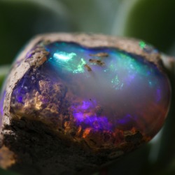 mineraliety:  Absolutely incredible Ethiopian Opal by Cosmic Opals available on Mineraliety. It looks like an enchanted underwater scene and I’m mesmerized /////// #whyiloveminerals  www.mineraliety.com/shops/cosmicopals 