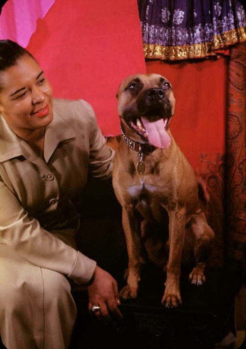 cultureunseen:  (A day with Lady Day) Billie Holiday , photographed by Carl Van Vechten.