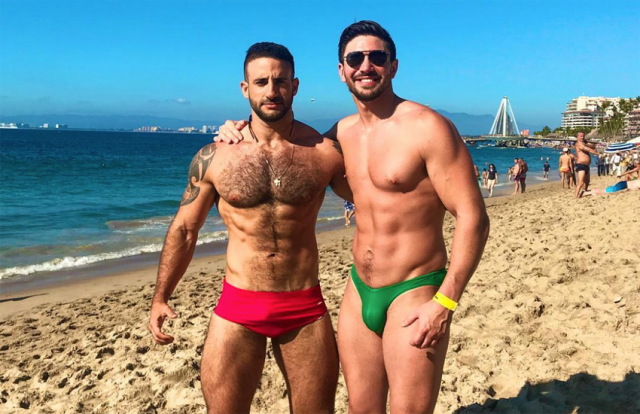 homobrasil: