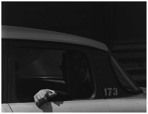 yama-bato: Roy De Carava  