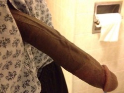 thicknastyscnigga:  wolle225:  oakcliffhood73:  litbahamaboy:  For real cucumber challenge!!!  Wow what a nice big black dick. Wish to be fucked   FOLLOW ME ON TWITTER: @NastyNick199 