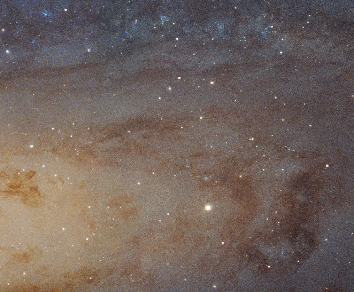 40mg: A friend’s freckles &amp; The Andromeda Galaxy (source: NASA)