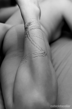 kinbaku-bondage:  Reblogged by tumblr.viewer