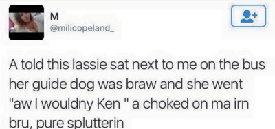 joey-wheeler-official:happyhumannoises:peridottea91:scottishtwitter:Translation: I told this girl sent next to me on the bus that her guide dog was cute and she said “Aw I wouldn’t know” and I choked on my coffee😂😂I think this