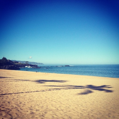 #palmtree #shadows on #waimea #beach #oahu #hawaii (at Waimea Bay)