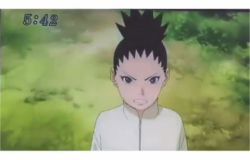 sam-rambles:  He looks just like temari ╮(╯3╰)╭