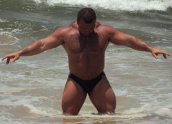 real-thick:  Speedo Beef