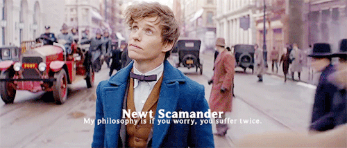newdscamander: Fantastic Beasts Characters + Quotes 