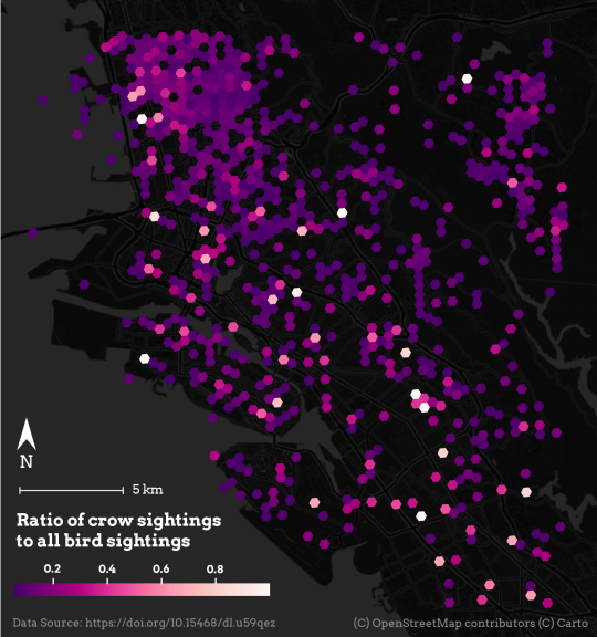 Areas where crows are more likely to be reported than other birds. This is visualized with hexagons in varying shades of pinks and purples over a dark colored basemap of Oakland, Alameda, and Berkeley. The areas of highest crow sighting appear to be random.