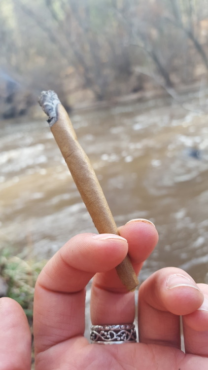 XXX dabakin-cloudblower:  Blunt by the river🏞 photo