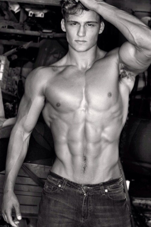 ADONIS ARCHIVE