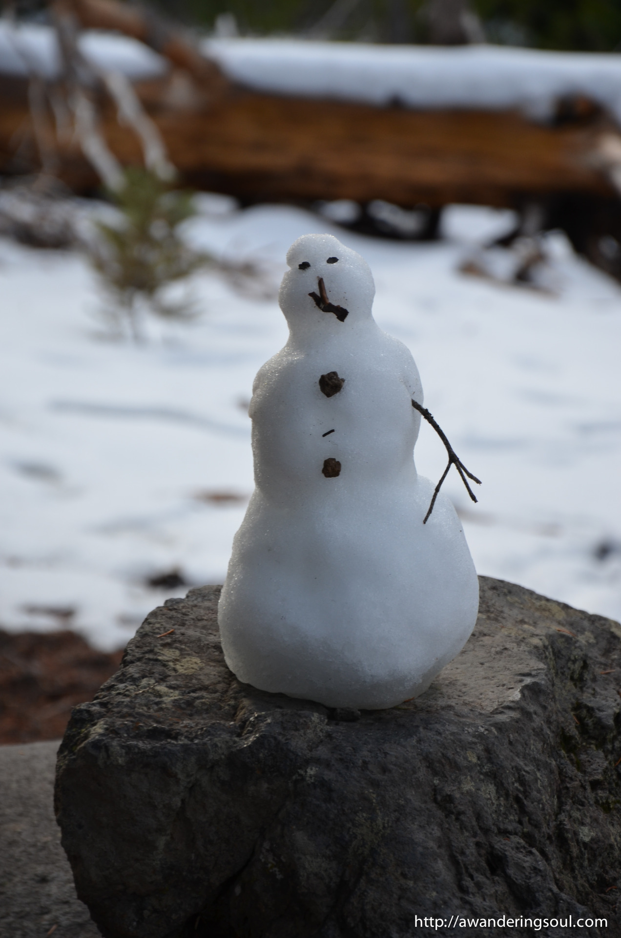 connie-awanderingsoul:  Little Snowman  