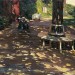 great-and-small:a-sadnoodle:I cannot express how much I adore dappled shadows formed by sunlight in paintings and photography and in real lifeI also adore how this pattern has manifested itself in the form of camouflage for some speciesThe echo of those