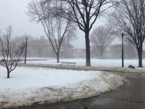 The Weather On Campus Is... Weird. I Believe The Official Name For It Is Either "ambiguous Precipitation"
