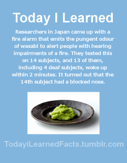 todayilearnedfacts:Follow TodayiLearnedFacts