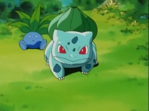 derekfoxwit: wild-bulbasaur:Protective Bulbasaur  @bulbasaur-propaganda