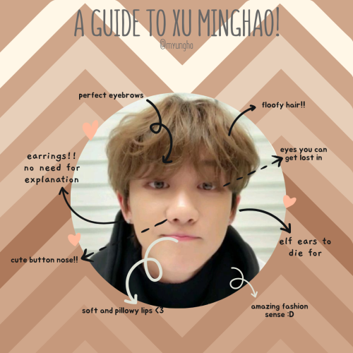 myungho: a short guide to xu minghao &lt;3