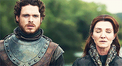 cerseis-lannister:  Game of Thrones meme - six relationships - [4/6] - Robb &amp;