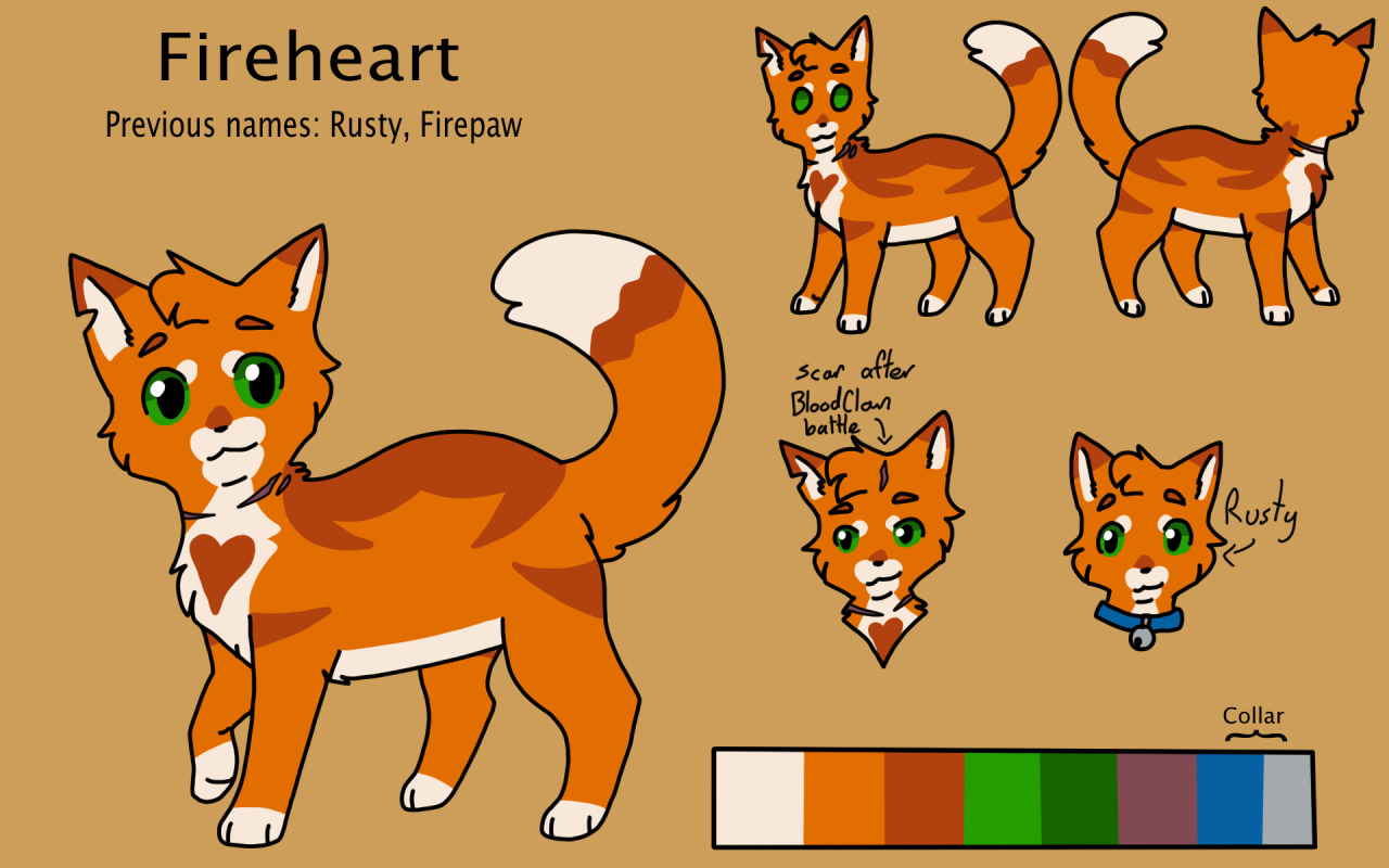 Bluestar, Firestar, Tigerstar, Redtail and Spottedleaf refs! : r