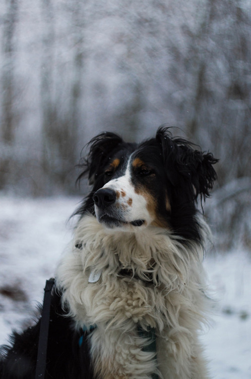 patronusspirit: he judge, then he wink  . ig