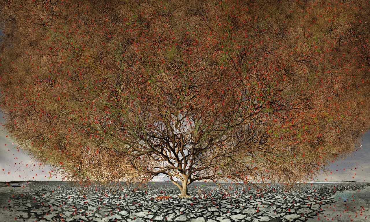 Jean-François Rauzier -  Tree of Life (c-type print, 2014)