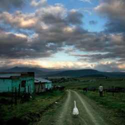 liquidnight:  Alexia Webster  The road between