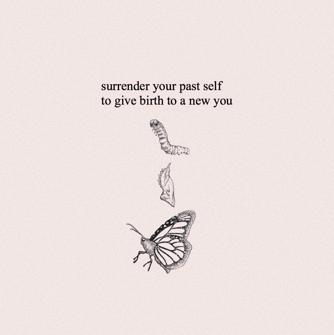 liathebutterfly: