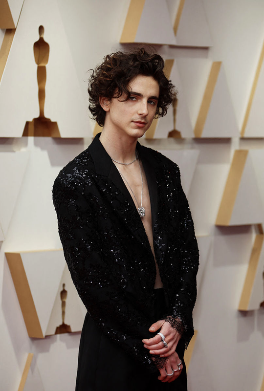 Timothée Chalamet At Oscars 2022: Rocks No Shirt & Sequined Jacket –  Hollywood Life