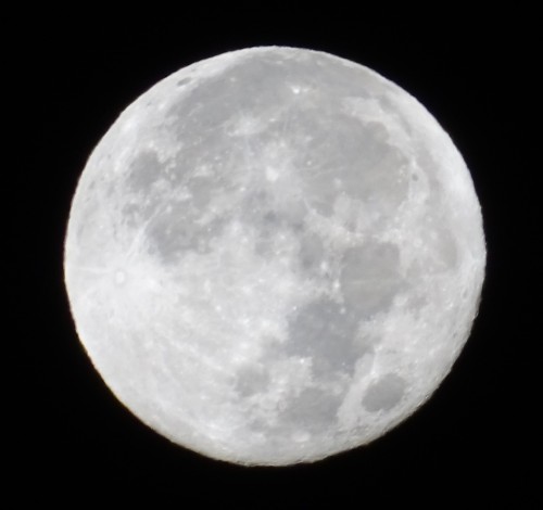 Full Hunter Moon over Forsythia Hill Moonrise Wednesday Oct 20 10 pm and Moonset Thursday Oct 21 5 a