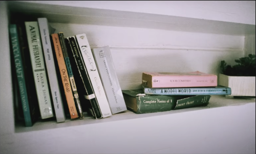 Books from the tumblr girls music video 